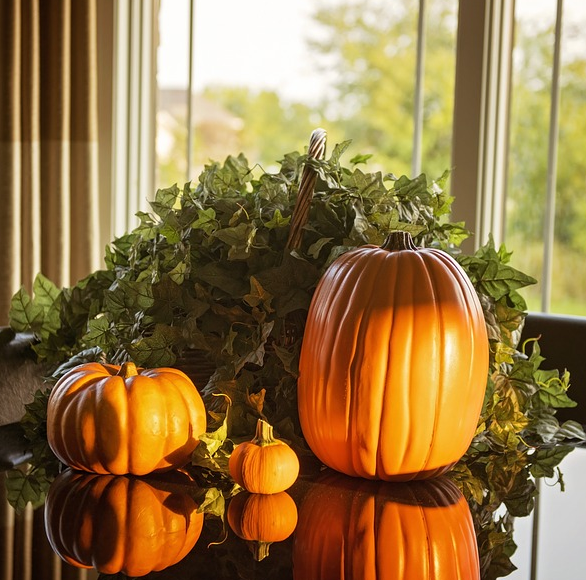 Halloween - KNIHCENTRUM.CZ