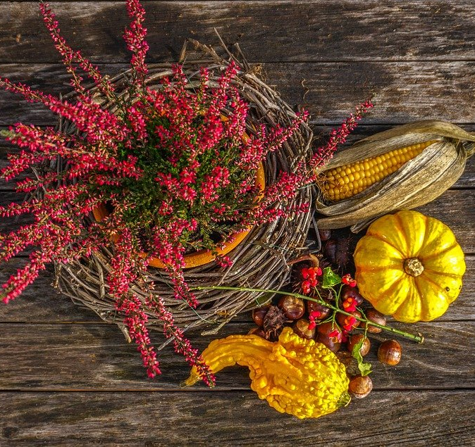 Halloween - KNIHCENTRUM.CZ