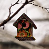 Hausfrau - kniha z nabídky KNIHCENTRUM.CZ