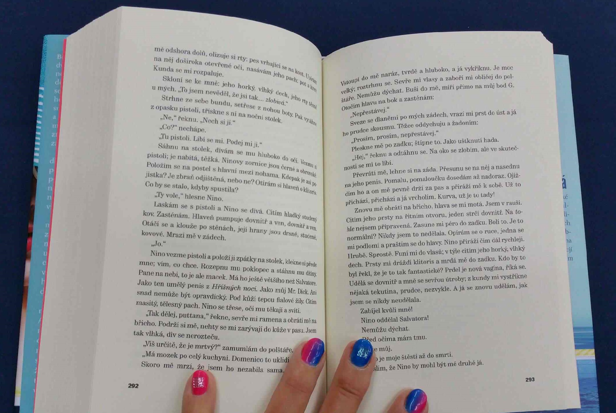 Kniha Šílená z nabídky knižního e-shopu KNIHCENTRUM.CZ