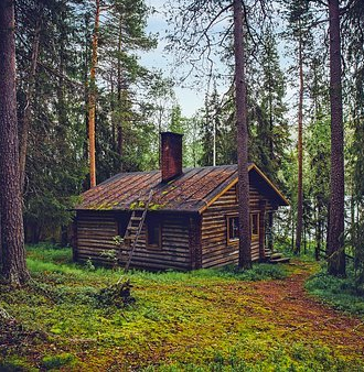 Walden aneb život v les&iacute;ch - KNIHCENTRUM.CZ